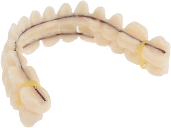 Dentadura de resina para dentadura superior e inferior, molde de dientes de resina preformado para el cuidado bucal