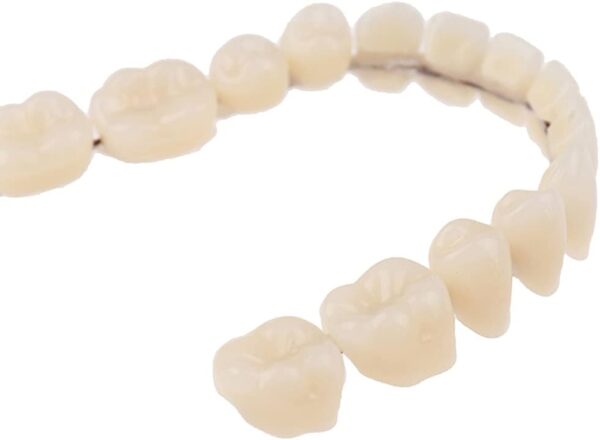 Dentadura de resina para dentadura superior e inferior, molde de dientes de resina preformado para el cuidado bucal - Image 4