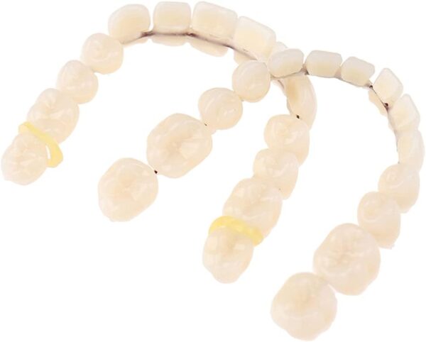 Dentadura de resina para dentadura superior e inferior, molde de dientes de resina preformado para el cuidado bucal - Image 5