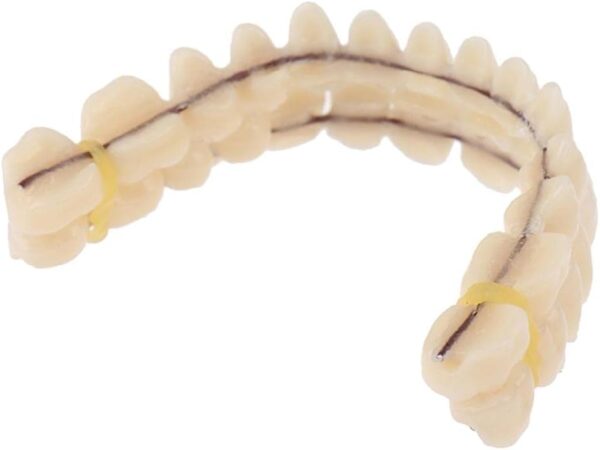 Dientes de resina dentadura superior inferior sombra artificial preformada cuidado de la dentición molde de dientes de resina