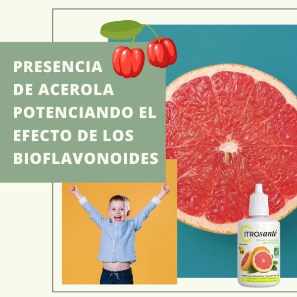 Citrosanté - Extracto de semillas de pomelo orgánico 2 unidades de 50 ml - Image 4