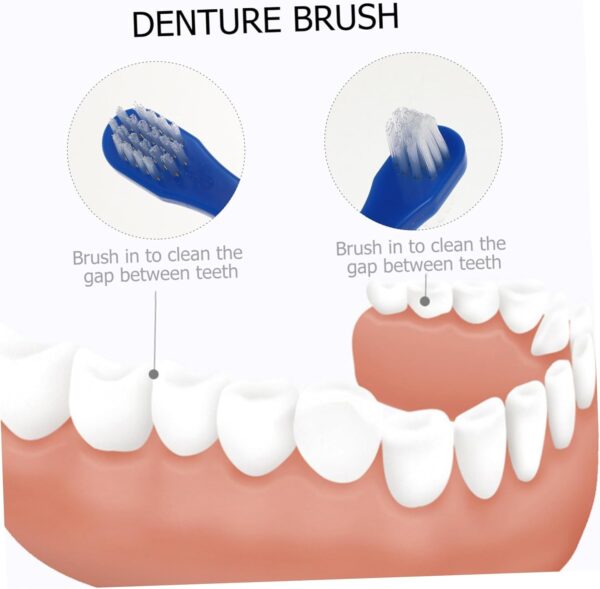 Healeved 2 Piezas cepillo de postizos Limpieza postiza Cuidado prótesis blanqueamientos cepillo de oral cepillos limpiadores de dentaduras postizas - Image 7