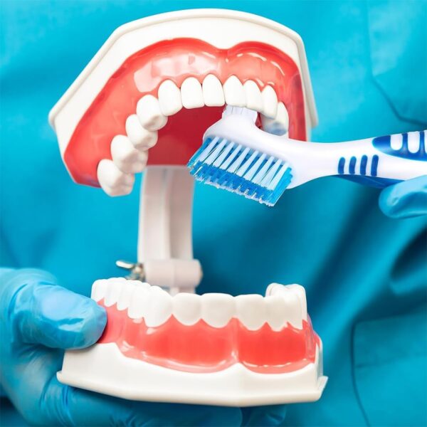 ZKGYUS 5 Piezas Juego de cepillos de dientes para prótesis, cerdas multicapa, Cabeza de Cerdas Cepillos de Limpieza de Prótesis Portátiles Dentaduras,Para Dentaduras Cuidado - Image 4