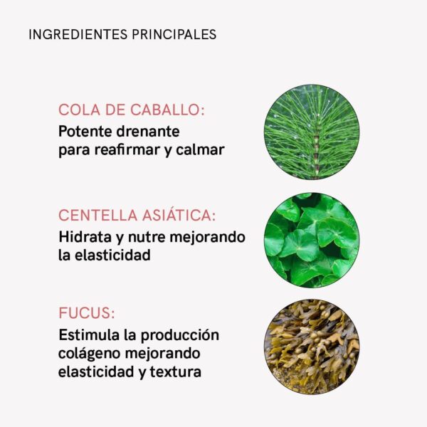 MASDERM | Gel-Crema Corporal Radiofrecuencia Reafirmante Hidratante 1000 ml | Profesional | Mujer | Cavitación | Ultrasonidos | Luz LED | - Image 8