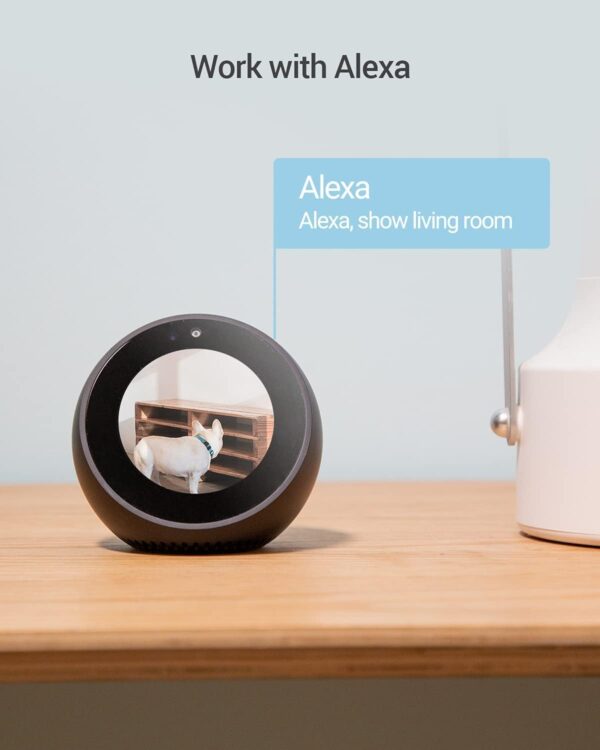 EZVIZ Cámara Vigilancia WiFi Interior 360º, 1080P Camara Vigilancia Bebe/Mascotas, Visión Nocturna, Audio Bidireccional, Detección de Movimiento, Control Remoto, Compatible con Alexa, C6N Negro - Image 7