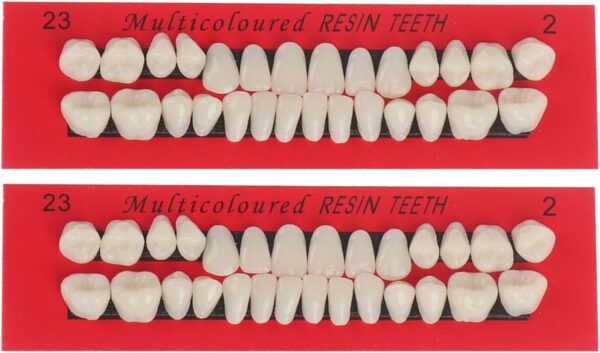 56 Piezas Dientes Falsos, Diente de Resina Sintética, Material Dental Dientes Dentadura, Kit de Dientes Falsos de Halloween, Dentadura Dental Completa de Resina Acrílica