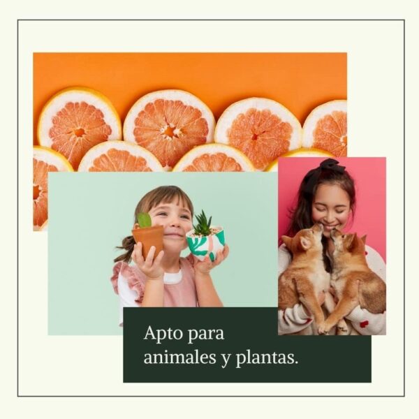 Citrosanté - Extracto de semillas de pomelo orgánico 2 unidades de 50 ml - Image 3