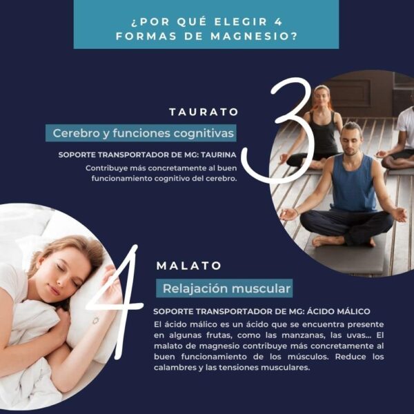 INOLAB Magnesio 1980mg | 4 Formas completas: Magnesio Bisglicinato, Malato, Vegetal Orgánico, Taurato | Alta Absorción y Tolerancia Digestiva | Bienestar Muscular y Nervioso | 120 Cápsulas - Image 3
