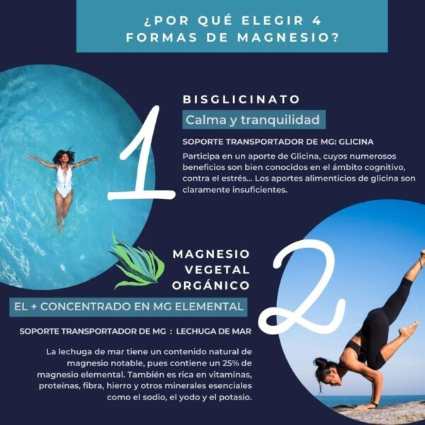 INOLAB Magnesio 1980mg | 4 Formas completas: Magnesio Bisglicinato, Malato, Vegetal Orgánico, Taurato | Alta Absorción y Tolerancia Digestiva | Bienestar Muscular y Nervioso | 120 Cápsulas - Image 2