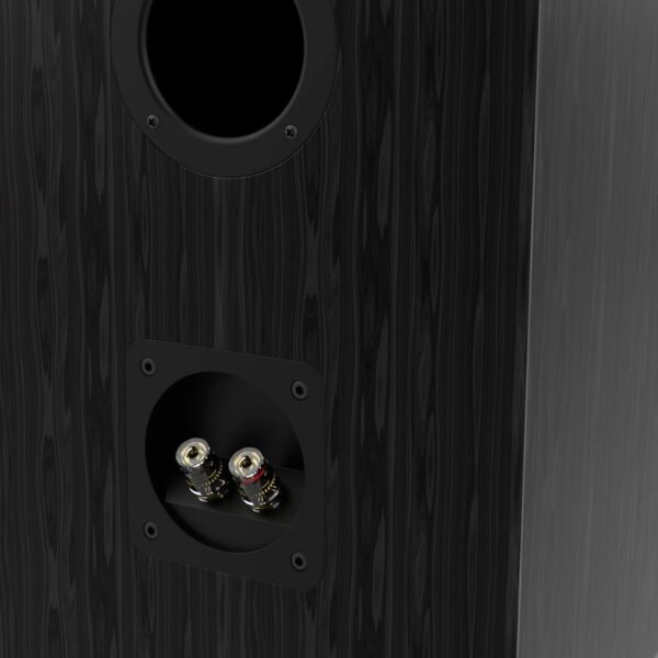 Wiibo Vintage 6 Black - Altavoces HiFi de Estantería - Potencia de 100W - Altavoces de 3 Vías - Rejilla Extraíble - Tweeter de 2", Squawker de 3" y Woofer de 5" - Sonido Envolvente - Image 7