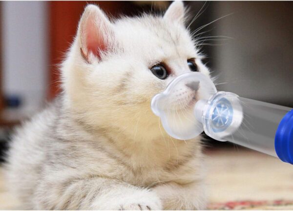 Free-Space Cámara de Aerosol para inhalador con indicador de respiración - Máscara de Silicona de Forma Redonda, Espaciador de asma para Gatos - Incluye 2 máscaras para un Mejor Ajuste - Image 5
