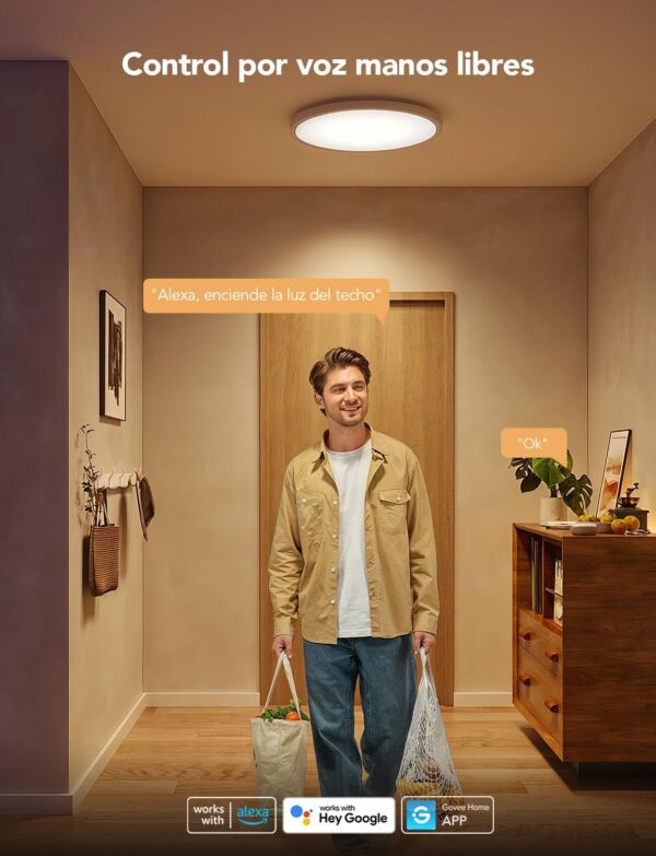 Govee RGBIC LED Plafón, 30cm Plafón Inteligente, 2400LM 2200-6500K Empotrable con 16 Millones de Colores DIY, Plafones para Dormitorio, Salón, Pasillo, Cocina - Image 4