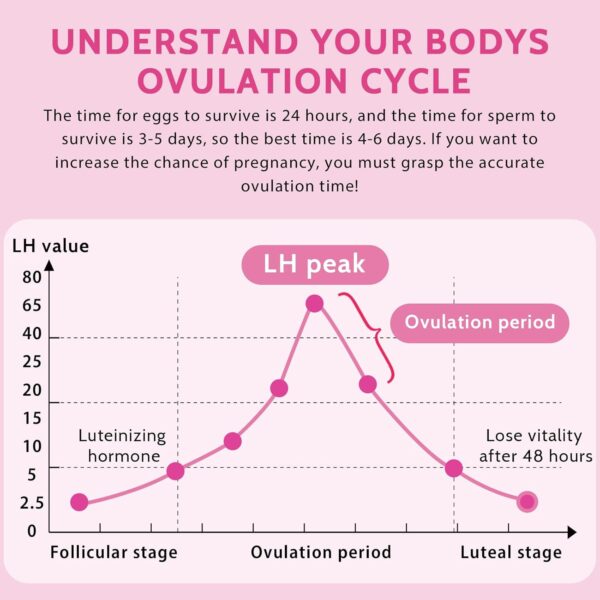 50 Piezas Test de Ovulación, Test Ovulacion Tira, Test Ovulacion Sensibilidad, 25 miu/ml Sensibilidad, Pruebas de Ovulación, Resultados Rápidos y Precisos, Prueba de Fertilidad Familiar Femenina - Image 5