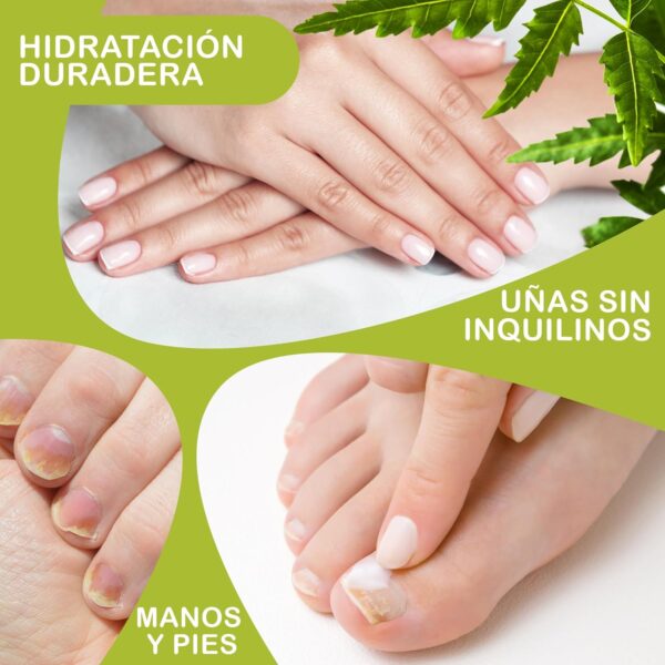 Aceite de Neem Orgánico - + 300 Control de Plagas - Huerto Saludable, Agricultura Ecológica - Anti Pulgones, Cochinillas, Repelente Mosquitos - Cuidado de Piel, Cabello y Mascotas 250 ML - Image 8