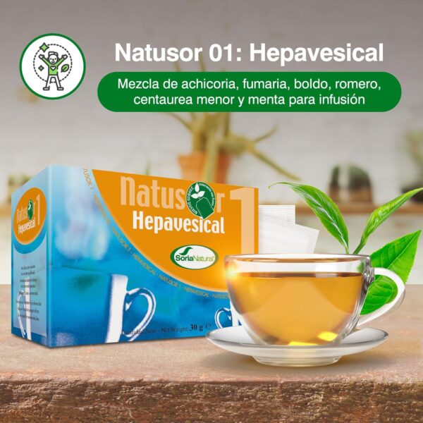 Soria Natural NATUSOR 1 HEPAVESICAL 20 Filtros - Image 2