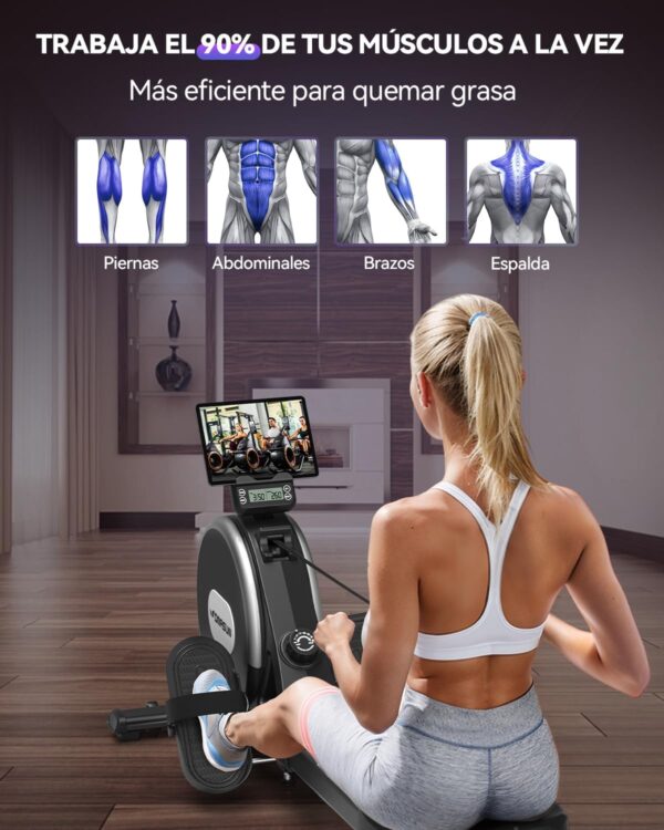 DMASUN Maquina de Remo para casa, 16 Niveles de Resistencia magnética, Soporta hasta 160 kg, Dobles mejorados, Ultra silenciosa y Estable, Conexión a la App, Almacenamiento Vertical para Ahorrar - Image 6