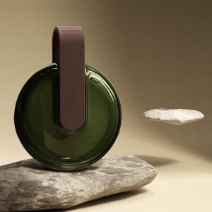 Estuche alineador, Estuche retenedor – Estuche de viaje con cordón transparente para retenedor | Estuche protector bucal de gran capacidad, caja para dentaduras postizas herméticamente sellada para