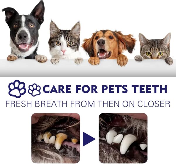 Pasta De Dientes Para Perros, Pasta De Dientes Para Gatos, Pasta De Dientes Para Mascotas, Pasta De Dientes Para El Cuidado Dental De Mascotas Para Favorecer La Salud Dental (B) - Image 4