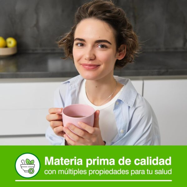 Soria Natural NATUSOR 1 HEPAVESICAL 20 Filtros - Image 3