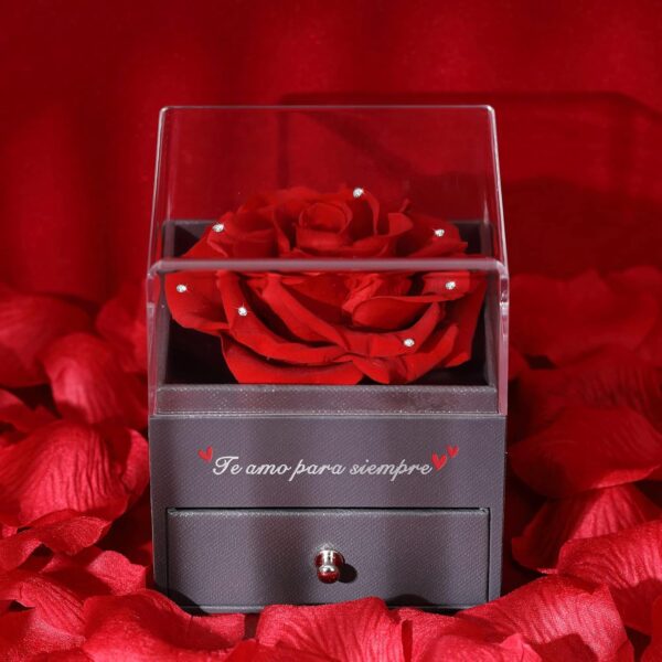 Eaprala Rosa Eterna con Conjunto de Joyas Te Amo para Siempre, Ideas de Regalos para Mamá, Cumpleaños, Aniversario Mujer(CristalRojo) - Image 6