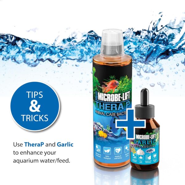 MICROBE-LIFT Artemiss - 118 ml - Favorece la Salud y el Sistema inmunitario de los Peces de Todas Las Especies de Acuario con Ingredientes Naturales. - Image 8