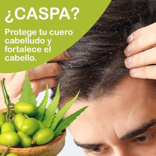 Aceite de Neem Orgánico - + 300 Control de Plagas - Huerto Saludable, Agricultura Ecológica - Anti Pulgones, Cochinillas, Repelente Mosquitos - Cuidado de Piel, Cabello y Mascotas 250 ML - Image 5