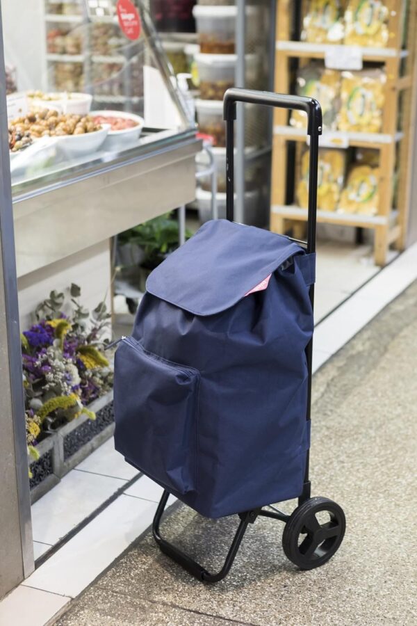 Pratesi Carro Compra Argo Nuevo Azul - Image 9