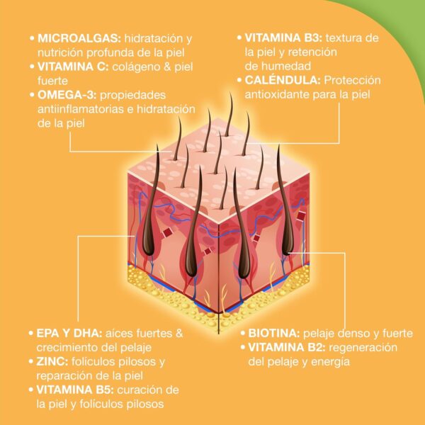 Paawy Resplandor del Pelaje Snacks - Apoya la Piel y el Pelaje de tu Perro - Suplemento alimenticio con Omega3, Biotina y Zinc para el Pelaje - También para picazón, pérdida de Pelo y alergias - Image 3