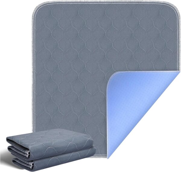 RIQINXIN Almohadillas de incontinencia lavables sin fugas para silla, acolchadas, para adultos, sofá de 21 x 22 pulgadas, 2 unidades, color gris