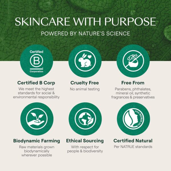 Weleda - Skin Food Body Lotion, Loción Hidratante Corporal, Nutrición Intensiva, Larga Duración, con Aceites de Semilla de Girasol, Manteca de Karité y Caléndula, para Piel Seca o Muy Seca - 200 ml - Image 11