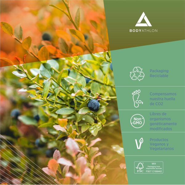 Bodyathlon– 1.9mg Melatonina gotas 90ml– Rápida conciliación del sueño – Melatonina liquida- Efecto rápido y duradero- Sueño profundo y reparador– Duerme bien- Fácil dosificación– Sabor limón– Vegano - Image 6