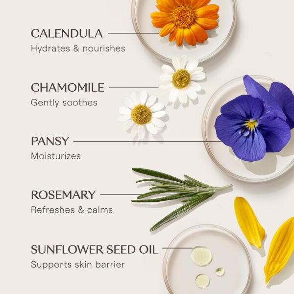 Weleda - Skin Food Body Lotion, Loción Hidratante Corporal, Nutrición Intensiva, Larga Duración, con Aceites de Semilla de Girasol, Manteca de Karité y Caléndula, para Piel Seca o Muy Seca - 200 ml - Image 10