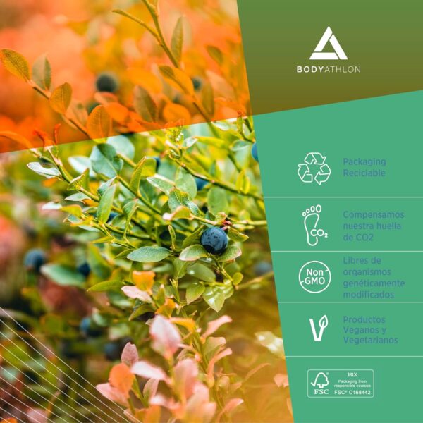 Bodyathlon– 1.9mg Melatonina gotas 90ml– Rápida conciliación del sueño – Melatonina liquida- Efecto rápido y duradero- Sueño profundo y reparador– Duerme bien- Fácil dosificación– Sabor limón– Vegano - Image 7