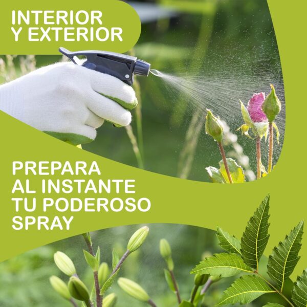Aceite de Neem Orgánico - + 300 Control de Plagas - Huerto Saludable, Agricultura Ecológica - Anti Pulgones, Cochinillas, Repelente Mosquitos - Cuidado de Piel, Cabello y Mascotas 250 ML - Image 10