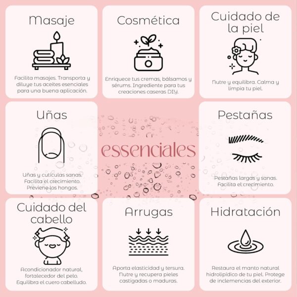 Essenciales - Aceite Vegetal de Árnica, 100% Puro, 100 ml | Para Tu Bienestar Muscular y Articular - Image 2