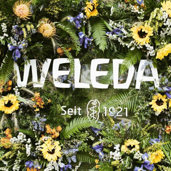 Weleda - Skin Food Body Lotion, Loción Hidratante Corporal, Nutrición Intensiva, Larga Duración, con Aceites de Semilla de Girasol, Manteca de Karité y Caléndula, para Piel Seca o Muy Seca - 200 ml - Image 8
