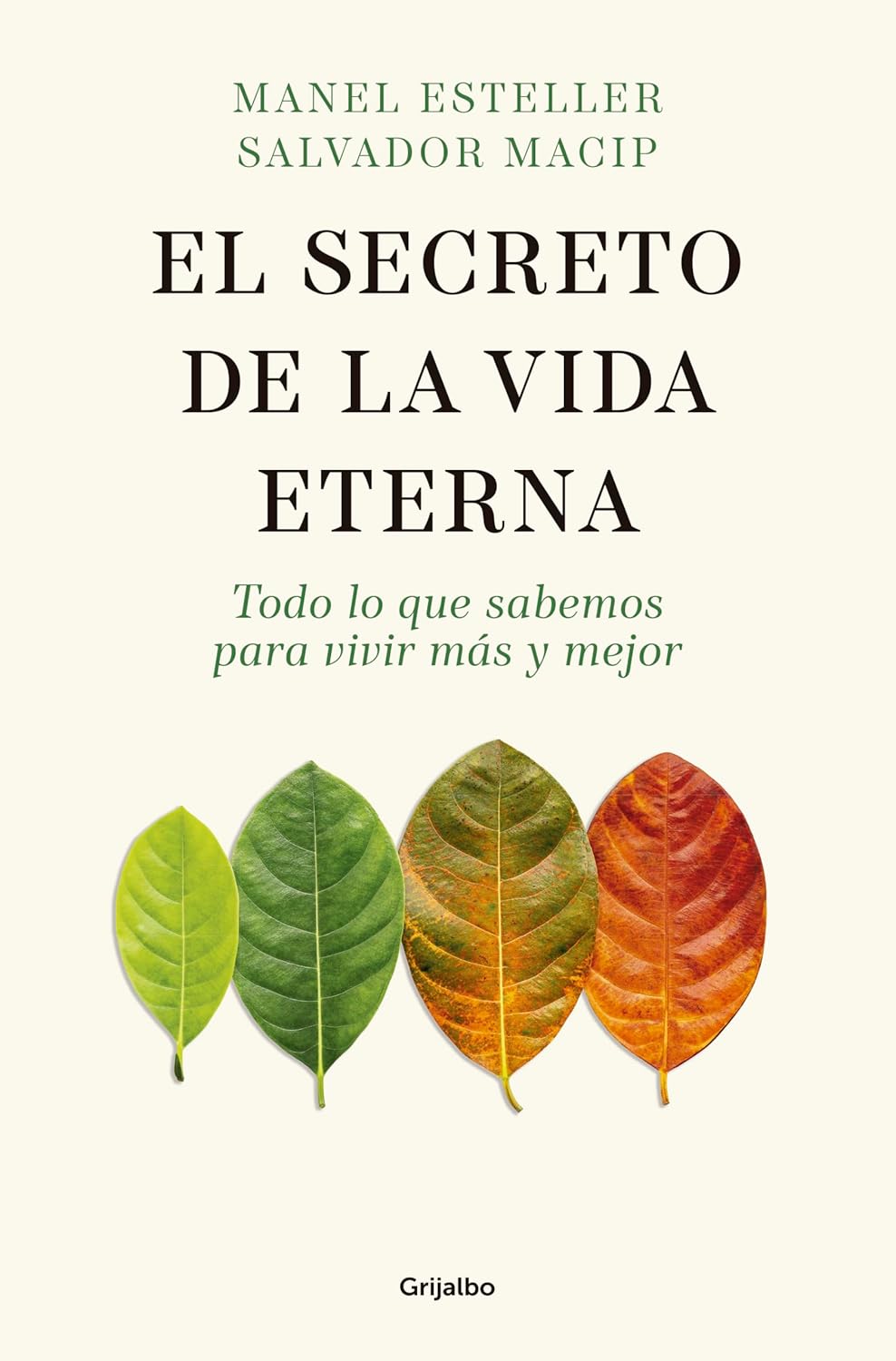 Read more about the article El secreto de la vida eterna: review