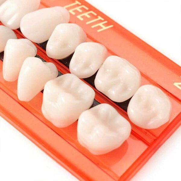 Juego de 28 piezas de dientes falsos, modelo de dientes de resina, dentaduras postizas duraderas universales para accesorios de terror, modo de enseñanza de bricolaje - Image 3