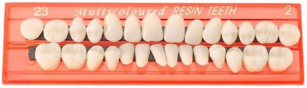 Juego de 28 piezas de dientes falsos, modelo de dientes de resina, dentaduras postizas duraderas universales para accesorios de terror, modo de enseñanza de bricolaje - Image 5