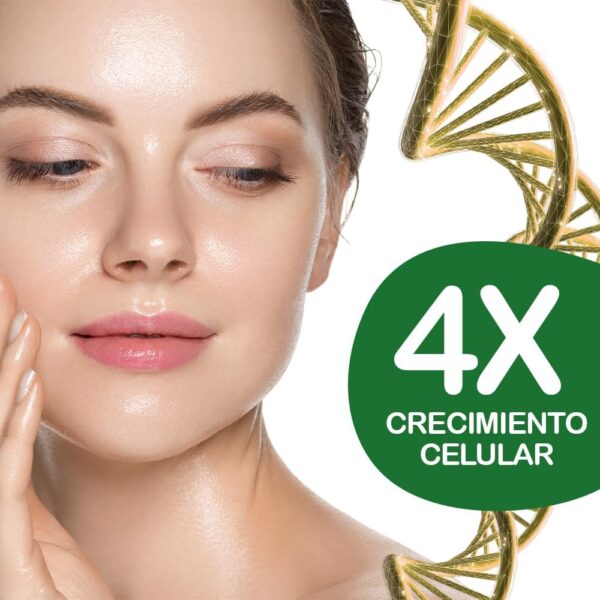 B.O.T cosmetic & wellness 3en1 Gel de Aloe Vera y Algas Marinas Adelgazante - 500 ml - Image 6