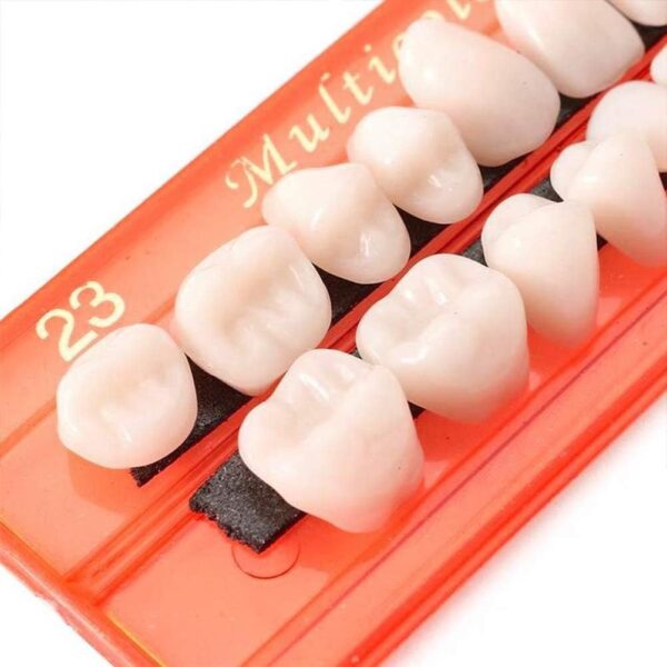 Juego de 28 piezas de dientes falsos, modelo de dientes de resina, dentaduras postizas duraderas universales para accesorios de terror, modo de enseñanza de bricolaje - Image 4