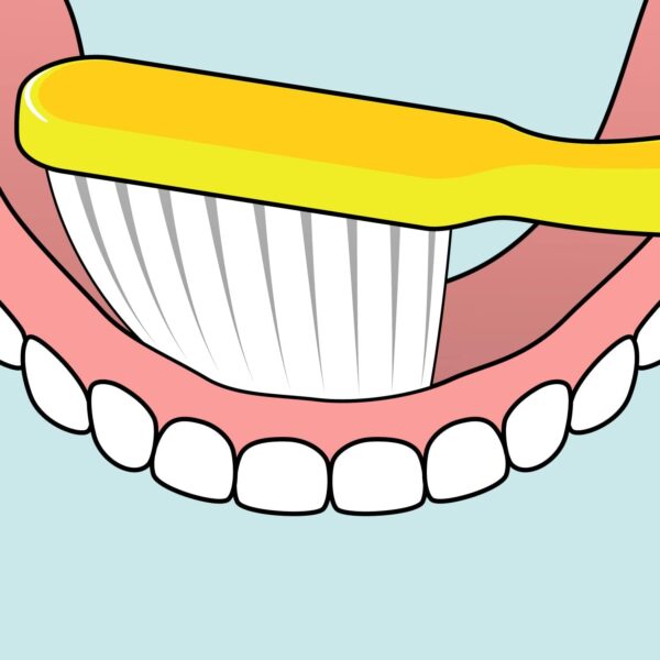 Tepe Denture Brush 21 g - Image 7