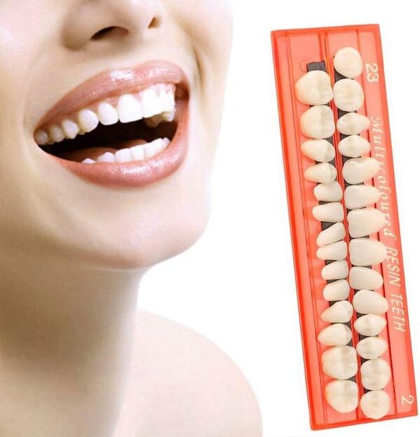 Juego de 28 piezas de dientes falsos, modelo de dientes de resina, dentaduras postizas duraderas universales para accesorios de terror, modo de enseñanza de bricolaje