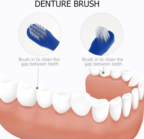 HEALLILY 2 cepillos de dientes duros , cepillo de limpieza de dentadura portátil, cepillo de doble cara, cuidado de la dentadura - Image 6
