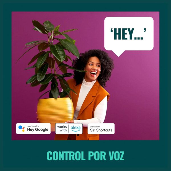 WiZ - Enchufe inteligente con medidor de consumo, Control inteligente a través de Voz/App, compatible con Alexa y Google Home y Tecnología SpaceSense - Image 5