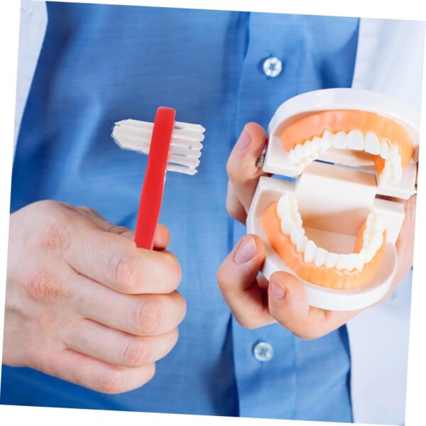 Healeved 4 Uds Cepillo De Falso Cepillo Limpiador De Dentaduras Herramientas De Limpieza Para Dentaduras Postizas Cepillo De Pequeño Cepillos De Para Dentaduras - Image 6