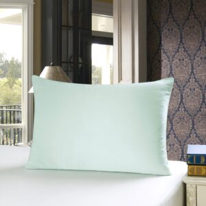 townssilk Funda de almohada de seda 100% 19 mm, seda pura de morera, seda de amb...